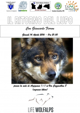 Il ritorno del lupo