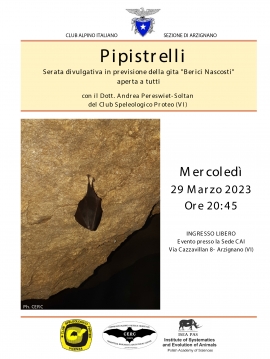 PIPISTRELLI