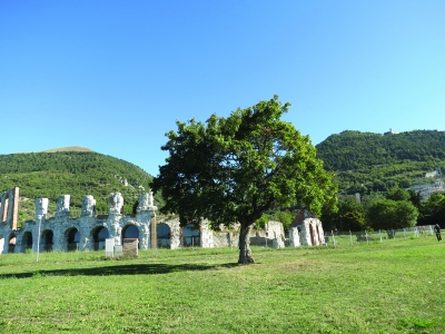 Sansepolcro / Citerna / Gubbio