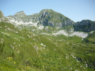 GRUPPO DEL CANSIGLIO - CAVALLO