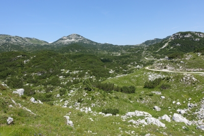 ALTOPIANO DI ASIAGO CIMA XII